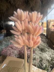 30~240pcs 17 Inch Multicolor Artificial Rabbit Tail Grass, Home Decor Artificial Rabbit Tail Grass Stems, Suitable For Bohemian Style Floral Arrangements, DIY Crafts, Home Kitchen And Wedding Decorations, Christmas Decorations - Light Pink Rabbit Tail Grass - View 2