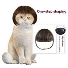 1pc Pet Wig, Curly/Straight Hair Styling Wig For Cats And Dogs, Halloween Party Costume Accessory, Cute Pet Holiday Transformation Fun Decorative Prop, Home Photography Supplies - Multicolor - View 2
