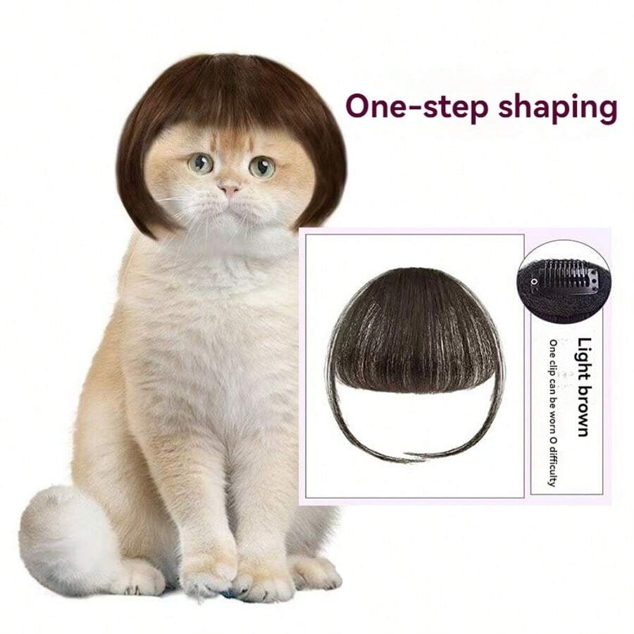 1pc Pet Wig, Curly/Straight Hair Styling Wig For Cats And Dogs, Halloween Party Costume Accessory, Cute Pet Holiday Transformation Fun Decorative Prop, Home Photography Supplies