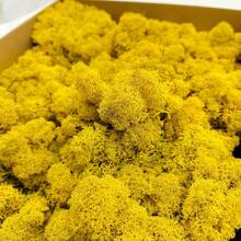 1 Box Artificial Moss, Eternal Moss For Home Decor, Holiday Photography Props, Fairy Garden, Crystal Tank, Crafts And Wedding, DIY Garden Fish Tank Decoration - Yellow - View 2