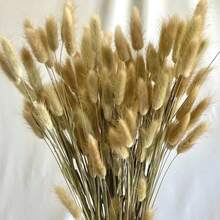 30~240pcs 17 Inch Multicolor Artificial Rabbit Tail Grass, Faux Rabbit Tail Grass Stems For Home Decor, Suitable For Bohemian Style Floral Arrangements, DIY Crafts, Home Kitchen And Wedding Decor, Christmas Decor - Multicolor - View 4