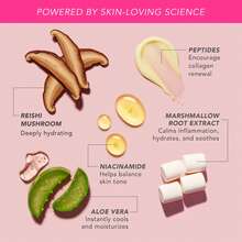 zephoco Peptide Bounce Flexible Foundation W/Marshmallow Extract – Hydrating Serum Cream Foundation For Mature Skin – Lightweight, Natural & Clean Makeup W/Medium Buildable Coverage - (Deep) - Deep - 查看 10