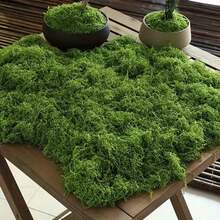300g/10.58oz 100g/50g 人造苔蘚草皮 仿真苔蘚 [聚酯纖維材質] 微景觀裝飾 綠色草坪盆栽植物窗飾景觀設計 - 多款式 - 查看 8