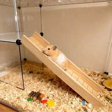 1pc Assembled Anti-Slip Wooden Hamster Climbing Ladder, Raised Guardrail Slide Toy For Small Rodents, All-Season Cage Scaping & Decorative Accessory - Multicolor - View 6