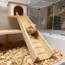 1pc Assembled Anti-Slip Wooden Hamster Climbing Ladder, Raised Guardrail Slide Toy For Small Rodents, All-Season Cage Scaping & Decorative Accessory - Multicolor - View 10