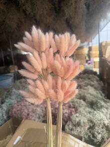 30~240pcs 17 Inch Multicolor Artificial Rabbit Tail Grass, Home Decor Artificial Rabbit Tail Grass Stems, Suitable For Bohemian Style Floral Arrangements, DIY Crafts, Home Kitchen And Wedding Decorations, Christmas Decorations - Light Pink Rabbit Tail Grass - View 4