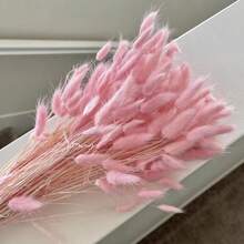 30~240pcs 17 Inch Multicolor Artificial Rabbit Tail Grass, Faux Rabbit Tail Grass Stems For Home Decor, Suitable For Bohemian Style Floral Arrangements, DIY Crafts, Home Kitchen And Wedding Decor, Christmas Decor - Multicolor - View 3
