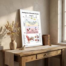 1pc High-End Discount Suit Waterproof Wall Hanging Living Room Wall Art Art Wall Art Pictures-Everyday Sounds Audiogram Wall Art - Human Ear Anatomy & Decibel Chart Print For Audiology Clinic Decor - 1pcs - View 14