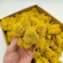 1 Box Artificial Moss, Eternal Moss For Home Decor, Holiday Photography Props, Fairy Garden, Crystal Tank, Crafts And Wedding, DIY Garden Fish Tank Decoration - Yellow - View 7