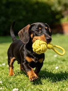 Knotted Rope Dog Tug Toy With Handheld Loop, Pet Molar Chew Toy Space Saving Hanging Design For Puppy Teeth Clean & Interactive Tug-Of-War Play - Multicolor - View 5
