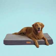 Cama ortopédica de gel de espuma viscoelástica para perro cojín de cama para mascotas resistente a mordeduras con parte superior de terciopelo de felpa funda extraíble forro impermeable y parte inferior antideslizante XL - Extragrande 41293,5 pulgadas - Ver 9