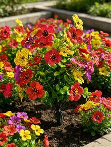 1pc 17.7in/45cm Artificial Violet Flower Bouquet With Ground Stake, Artificial Faux Flowers, UV Resistant Non-Fading Vibrant Colors, Suitable For Home Yard Corridor Patio - Four Colors (red + Yellow + Purple + Rose Red) - View 7