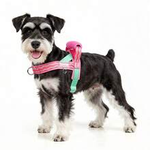 Arnés + Correa para Mascotas, con Mango Acolchado Antideslizante, Diseño Cómodo y Transpirable, Construcción a Prueba de Golpes, Esquema de Colores Contrastantes, Adecuado para Perros Pequeños y Medianos, Accesorio Esencial para Pasear Mascotas. - Caqui - Ver 4