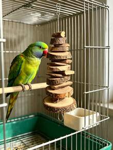 Juego de Juguetes Combinados para Loros, Cuerda de Madera Natural para Masticar + Adorno Colgante de Bola de Mimbre Colorida, Suministros para Aves para Molienda de Dientes y Alivio del Aburrimiento para Loros Pequeños a Medianos - Ver 3