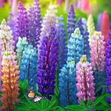 376 piezas de semillas de plantas en maceta con descuento, cápsulas de semillas mixtas de flores de frijol mungo y flores silvestres, cada bolsa de semillas de flores de frijol mungo de colores variados. - 376 - Ver 2