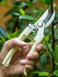 1pc Minimalist Pruning Shears, Stainless Steel Plant Branch Scissors For Garden - One Size Fits All - View 3
