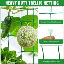 Plant Climbing Net,Nylon Garden Climbing Net,[ Green Net For Climbing] Heavy Pp Garden Grid Net,Loofah Morning Glory Flowers Vine Plants Climbing Net Cucumber Vine Grow Holder Trellis Netting,Multiple Sizes Available,Cucumbers,Tomatoes,Beans,Grapes - Green - View 2
