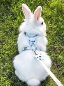 1pc Adjustable Rabbit Leash, I-Beam Rabbit Harness, Cute Rabbit Harness, Rabbit Leash, Suitable For Small To Medium Animals, Collar And Leash, Harness With Leash, Adjustable Leash, Rabbit Pet Accessories, Rabbit Pet Supplies, Rabbit Harness, Cat Harness, Dog Harness - Multicolor - View 1