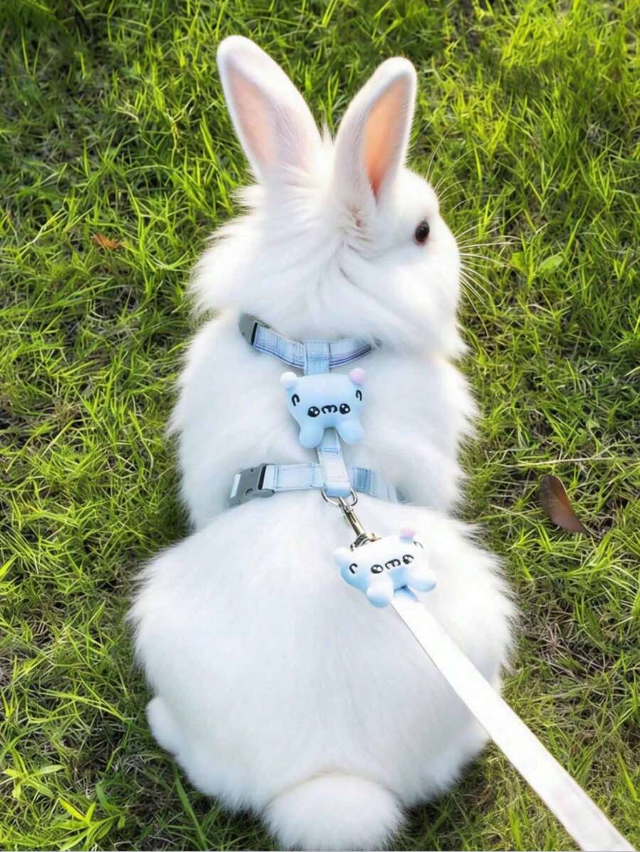 1pc Adjustable Rabbit Leash, I-Beam Rabbit Harness, Cute Rabbit Harness, Rabbit Leash, Suitable For Small To Medium Animals, Collar And Leash, Harness With Leash, Adjustable Leash, Rabbit Pet Accessories, Rabbit Pet Supplies, Rabbit Harness, Cat Harness, Dog Harness - Multicolor - View 1