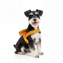 Arnés + Correa para Mascotas, con Mango Acolchado Antideslizante, Diseño Cómodo y Transpirable, Construcción a Prueba de Golpes, Esquema de Colores Contrastantes, Adecuado para Perros Pequeños y Medianos, Accesorio Esencial para Pasear Mascotas. - Caqui - Ver 6