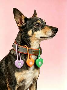 1pc/3pcs Heart-Shaped Pet LED Glowing Pendant, Night Anti-Lost Collar Charm, Universal For Cats And Dogs - Multicolor - View 9