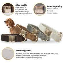 Customized Dog ID Collar + Leash Set, Personalized Dog Tag Pendant Accessories For Small And Medium Dogs, Great Gift Decoration For Your Pets, Engraved Stainless Steel, Fashionable, Colorful, Vintage, Cute, Minimalist, Customized, Unique, Personalized Pet, Anniversary, Birthday - Multicolor - View 7