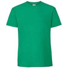 Fruit Of The Loom Mens Ringspun Premium T-Shirt - Kelly Green - View 1