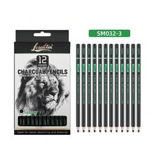 12支/組素描炭筆套裝，4mm 軟/中/硬/混合 4種款式可選，耐用鉛芯附細粉，適合平滑陰影，適用於素描與肖像畫 - A - 查看 12