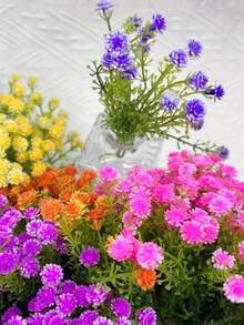 Bó hoa baby's breath nhân tạo 24/48 bông không cuống, hoàn hảo cho trang trí tiệc cưới, trang trí mô hình nhà thu nhỏ, chất lượng cao, hoa baby's breath bằng nhựa sống động như thật, tự làm trang trí nhà cho đám cưới/lễ đính hôn/Ngày Valentine và mùa hè, phù hợp cho mọi mùa | Bó hoa phong phú | Bền lâu, trang trí tiệc cưới (Giáng sinh, Ngày của Mẹ, Ngày Valentine) - Hoa baby's breath mini - Xem 12
