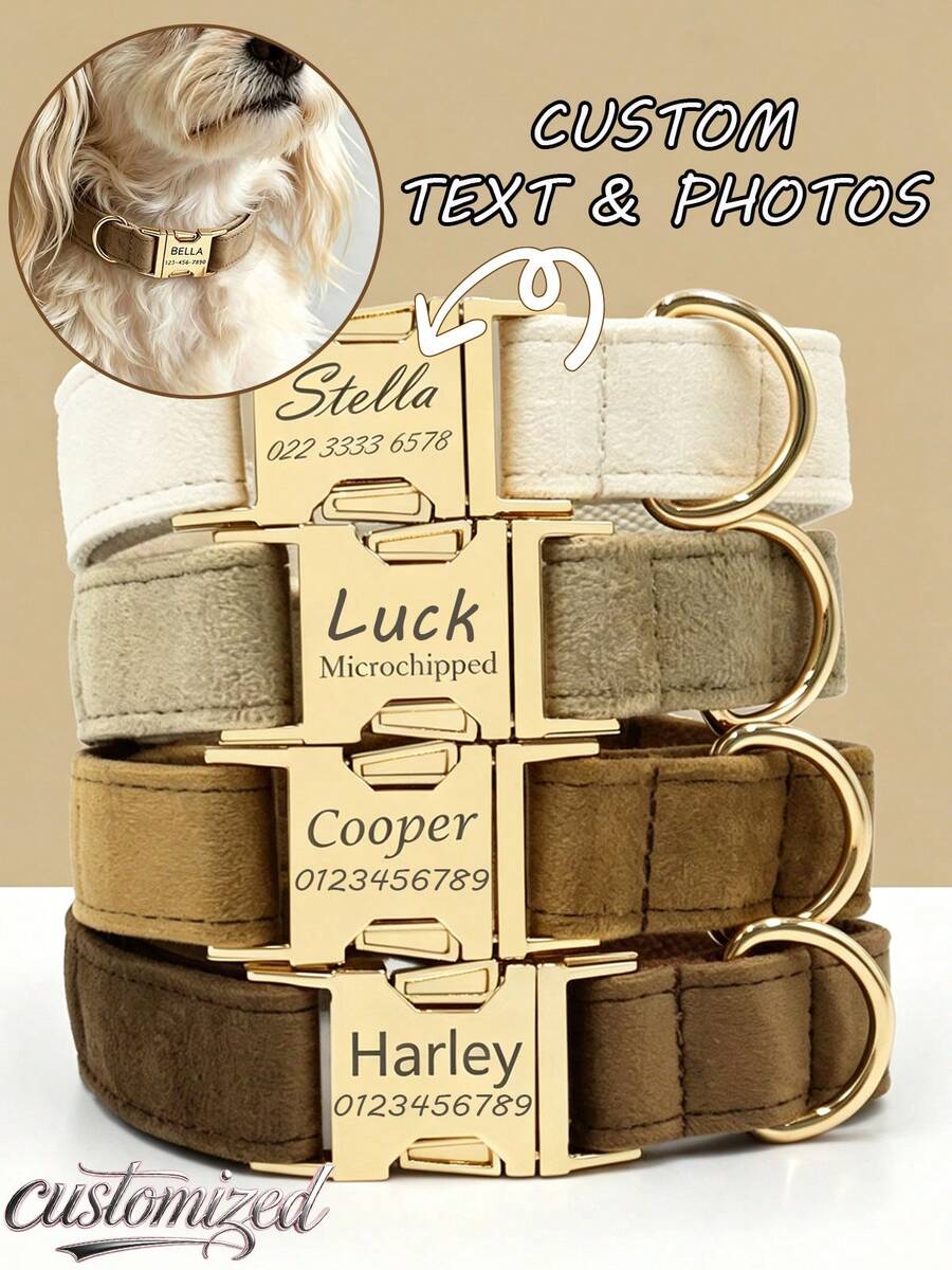Customized Dog ID Collar + Leash Set, Personalized Dog Tag Pendant Accessories For Small And Medium Dogs, Great Gift Decoration For Your Pets, Engraved Stainless Steel, Fashionable, Colorful, Vintage, Cute, Minimalist, Customized, Unique, Personalized Pet, Anniversary, Birthday