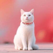 Cat Letter Rhinestone Customized Name Collar Leather Pet Customized Collar Anti-Lost Adjustable Size Small Dog Chihuahua Cat Kitten - Multicolor - View 11