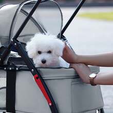 Carrito de viaje para mascotas, aprobado para viajes en coche, tren y autobús, diseño compacto y plegable, con cinturón de  y ventilación total, para que tu perro o gato viaje cómodo y  contigo - Gris - Ver 1