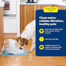 PetSafe Drinkwell Replacement Carbon Filter Dog and Cat Water Fountain Filters Black - 3 filtros - Ver 6
