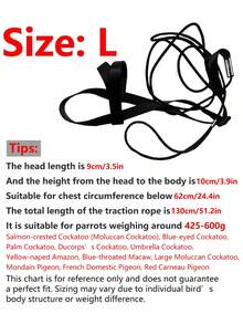 1set Parrot Harness Leash Strap For Flying, Suitable For Outdoor Bird Walking - Black - View 17