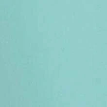 Menta 5L