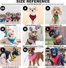 Arnés para Perro Puppia Soft Auténtico, Rojo - Mediano - Gris - Ver 5