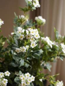 1/3PCS Artificial Snowball Flowers, Faux Flowers For Home Decoration. Suitable For Bouquets, Indoor Decor, DIY Wedding Bridal Gifts, Birthday Party Supplies, Tabletop Ornaments, Wedding Decor, Hand Bouquets And Back-To-School Decoration. - Multicolor - View 5