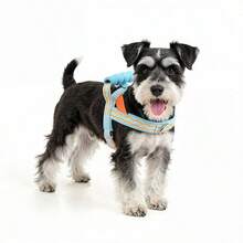 Arnés + Correa para Mascotas, con Mango Acolchado Antideslizante, Diseño Cómodo y Transpirable, Construcción a Prueba de Golpes, Esquema de Colores Contrastantes, Adecuado para Perros Pequeños y Medianos, Accesorio Esencial para Pasear Mascotas. - Caqui - Ver 5