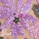 Mauve Purple