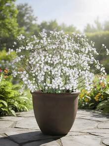 5/10PCS Artificial Gypsophila Breath Branches, PE Material, 4-Branch 12-Head Design, Ideal For Elegant Table Decorations, Weddings, And Seasonal Decorations. No Power Or Batteries Required. Suitable For Floral Decorations In Various Settings. - White - View 11