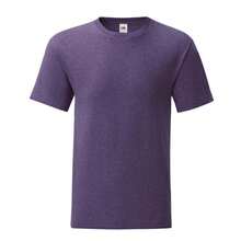 Purple Heather