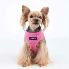Authentic Puppia Soft Dog Harness, Red - Medium - Pink - View 3