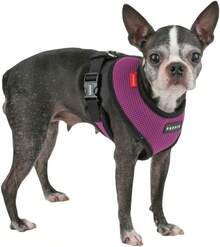 Authentic Puppia Soft Dog Harness, Red - Medium - Purple - View 3