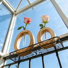 Oval Hollow Wooden Test Tube Vase, Minimalist Glass Tube Flower Arrangement Stand, Creative Home Desktop Decor Hydroponic Plant Vase, Suitable For Roses And Daisies - Multicolor - View 7