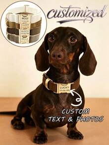 Customized Dog ID Collar + Leash Set, Personalized Dog Tag Pendant Accessories For Small And Medium Dogs, Great Gift Decoration For Your Pets, Engraved Stainless Steel, Fashionable, Colorful, Vintage, Cute, Minimalist, Customized, Unique, Personalized Pet, Anniversary, Birthday - Multicolor - View 5