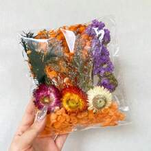 1/2 入樹脂乾燥花，適用於DIY手工藝、浪漫家居裝飾、創意生日禮物、婚禮派對、情人節 - 彩色 - 查看 22