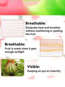 Agricultural Product Mesh Bags - Hammock, Suitable For Garden, Reusable Mesh Bags, Ideal For Climbing Vine Support - Multicolor - View 5