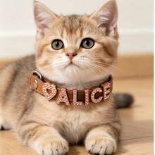 Cat Letter Rhinestone Customized Name Collar Leather Pet Customized Collar Anti-Lost Adjustable Size Small Dog Chihuahua Cat Kitten - Multicolor - View 9