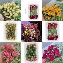 10/20/30/40入人造玫瑰花頭，微景觀裝飾，DIY禮品包裝裝飾 - 紅色 - 查看 6