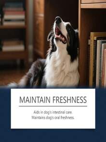 BESTSELLING Drinkable Pet Mouthwash! Plant-Based, Gentle Care For Gums & Teeth-Just Add To Water Bowl. If Swallowed, Perfect For Daily Use, Any Breed, Any Scene! MEGA ! Fresh Breath, Cleaner Smiles-Shop Now & Save Big! - Multicolor - View 3
